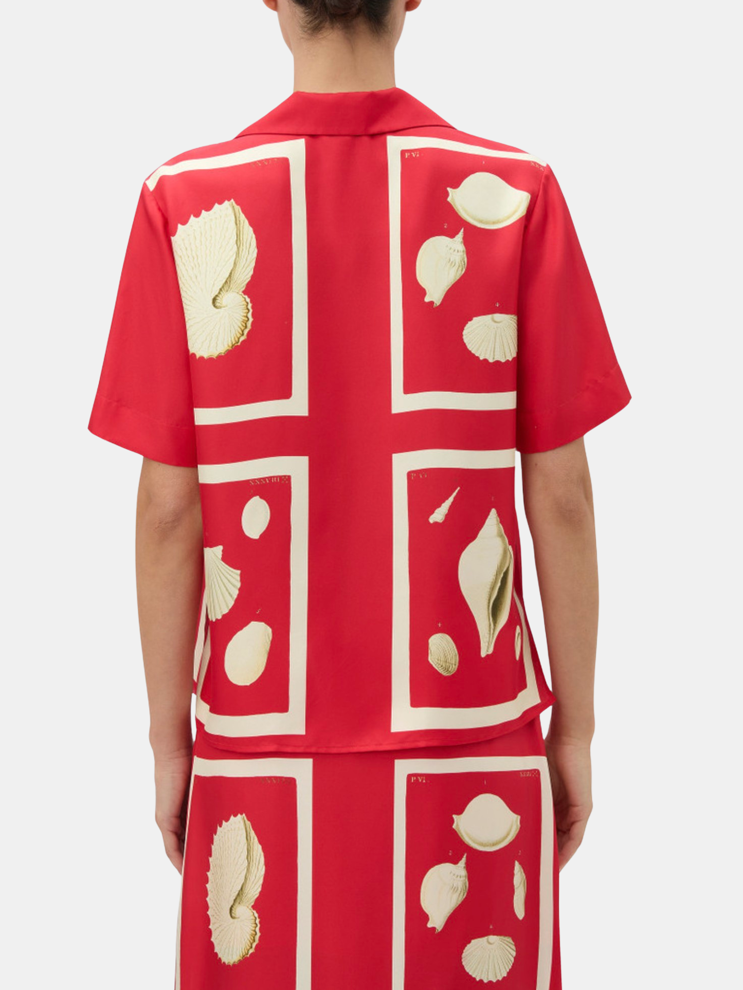 Graphic Shell Short Sleeve Camp Shirt