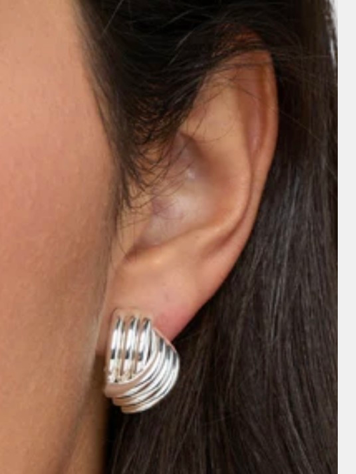 Clove Earrings Silver