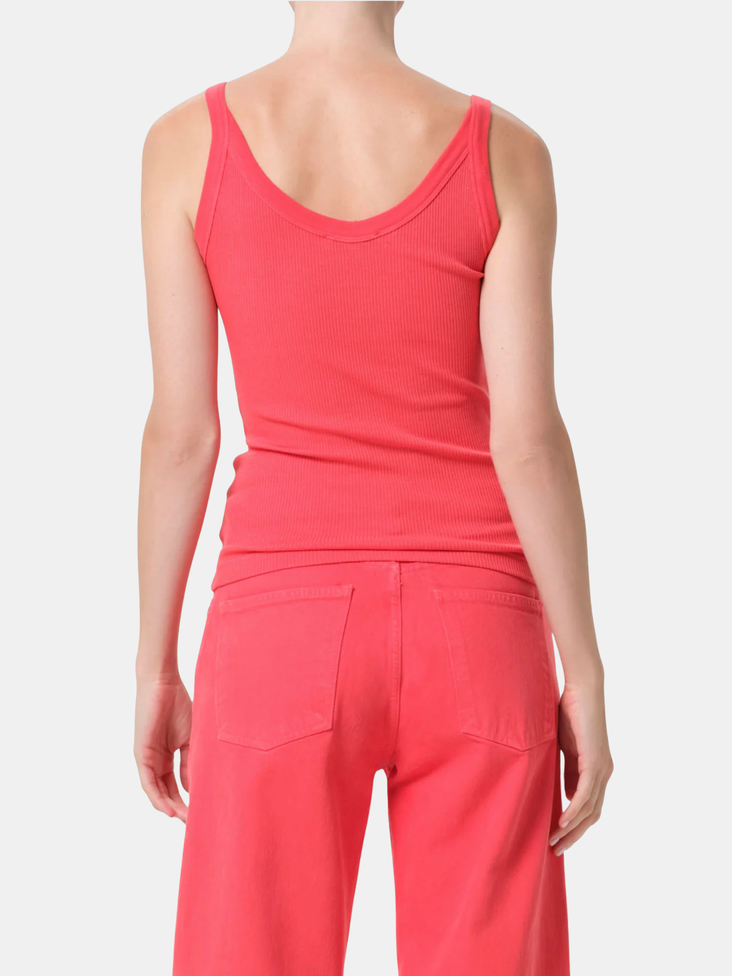 Jordan Tank - Morley 