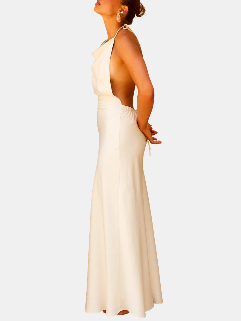 Jelena Halter Open Back Maxi Dress - Morley 