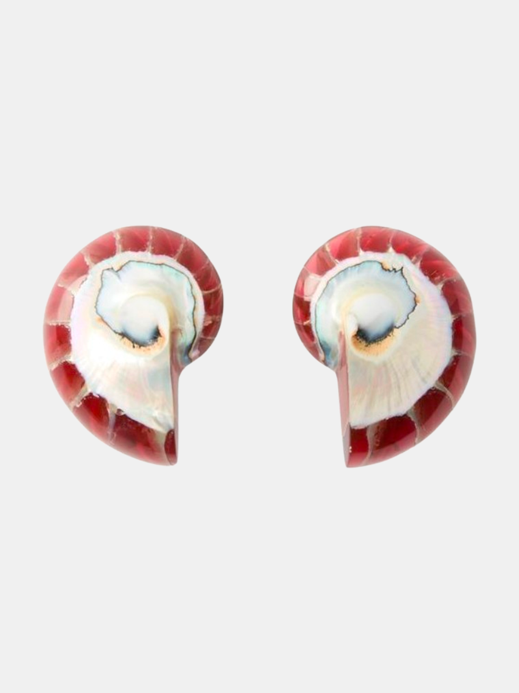 Nautilus Earrings - Morley 