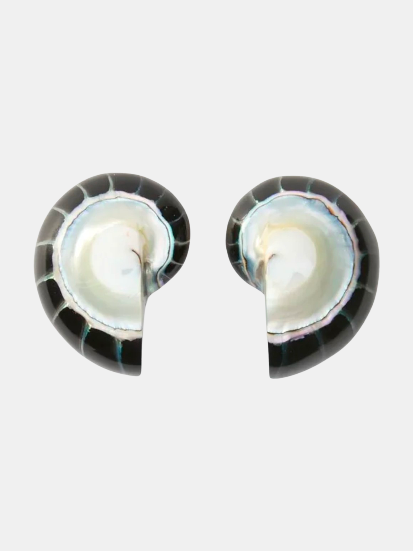 Nautilus Earrings - Morley 