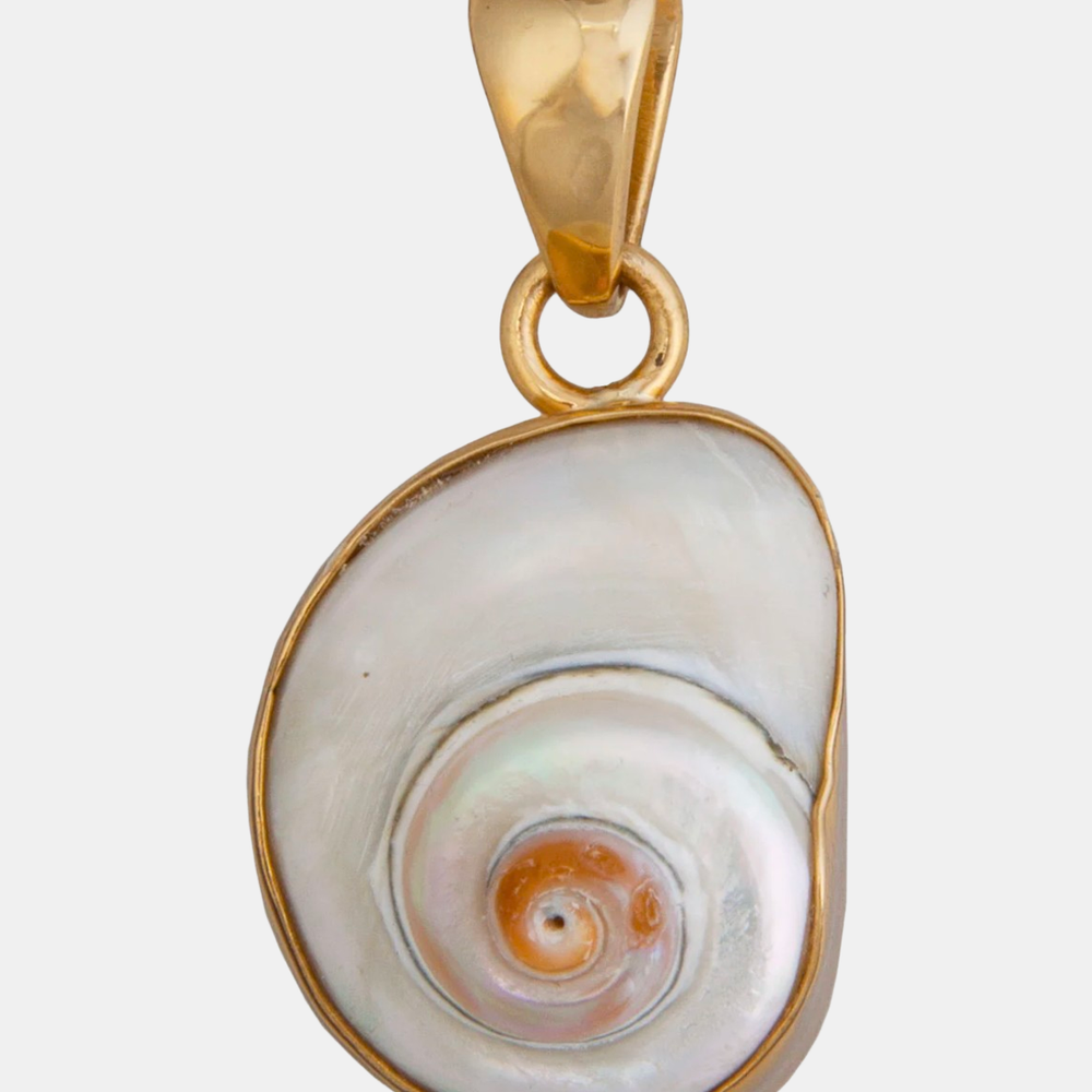 Alchemia Cinnerus Shell Pendant