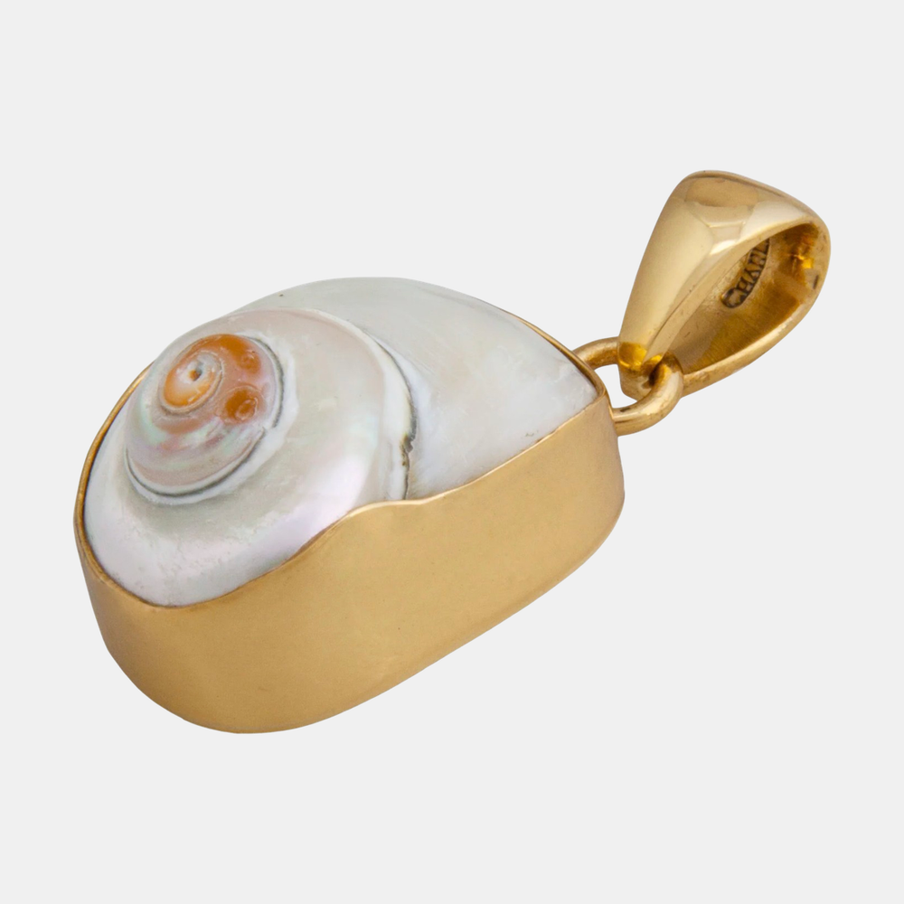 Alchemia Cinnerus Shell Pendant