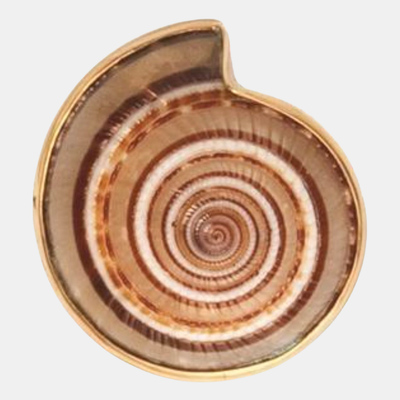 Alchemia Sundial Shell Adjustable Ring