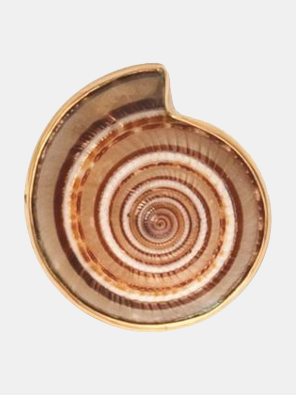 Alchemia Sundial Shell Adjustable Ring