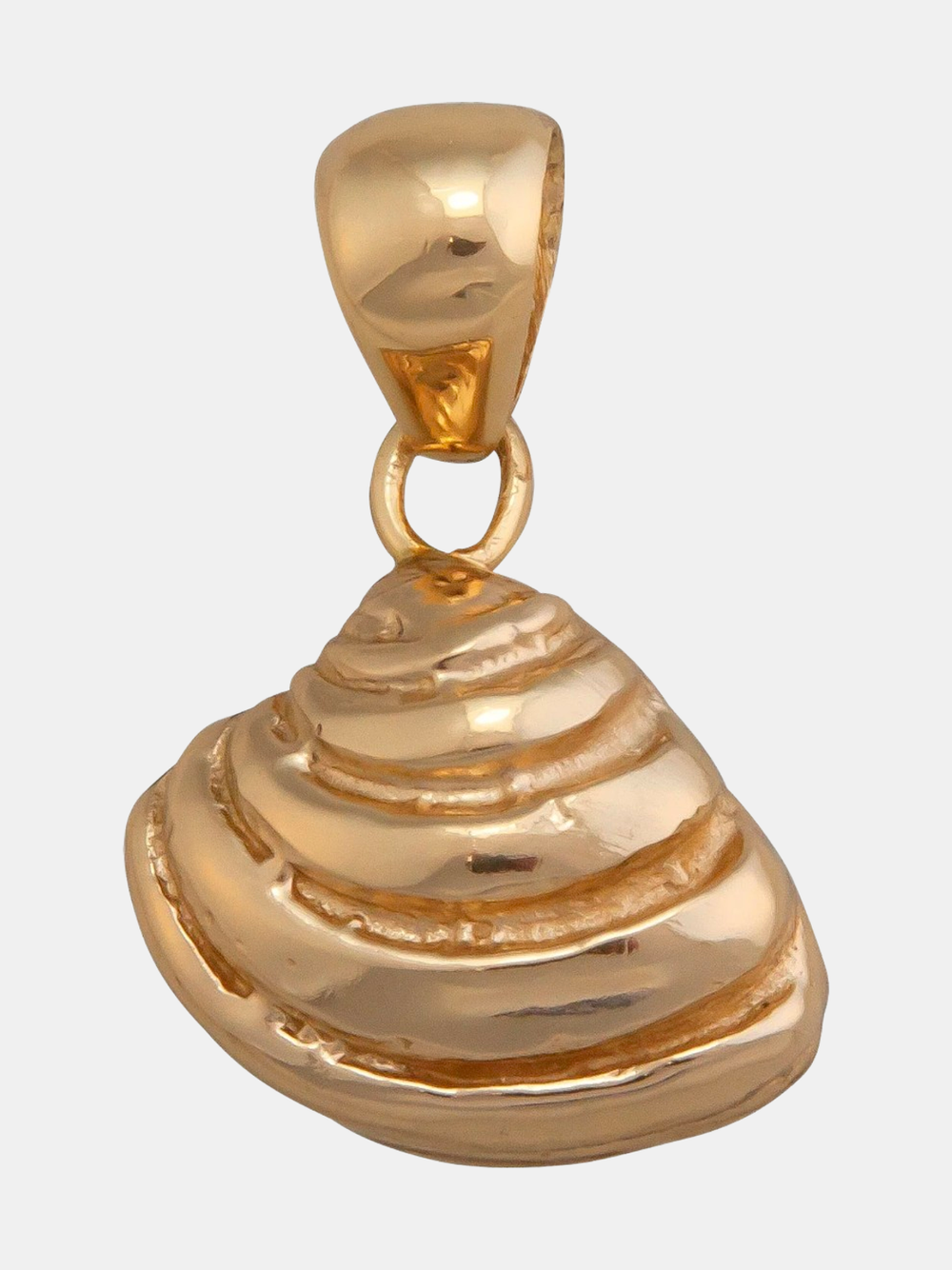 Alchemia Pawley's Island Shell Pendant