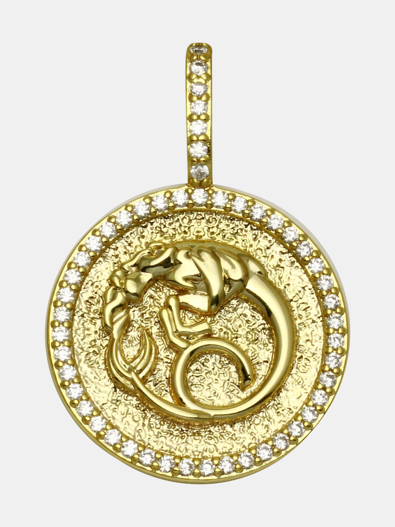 Zodiac Medallion Charm