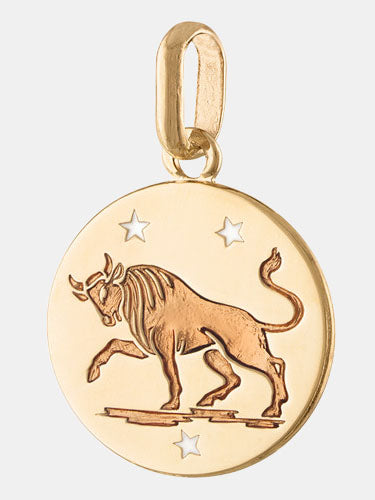 
                      
                        14k Zodiac Pendant - Morley 
                      
                    