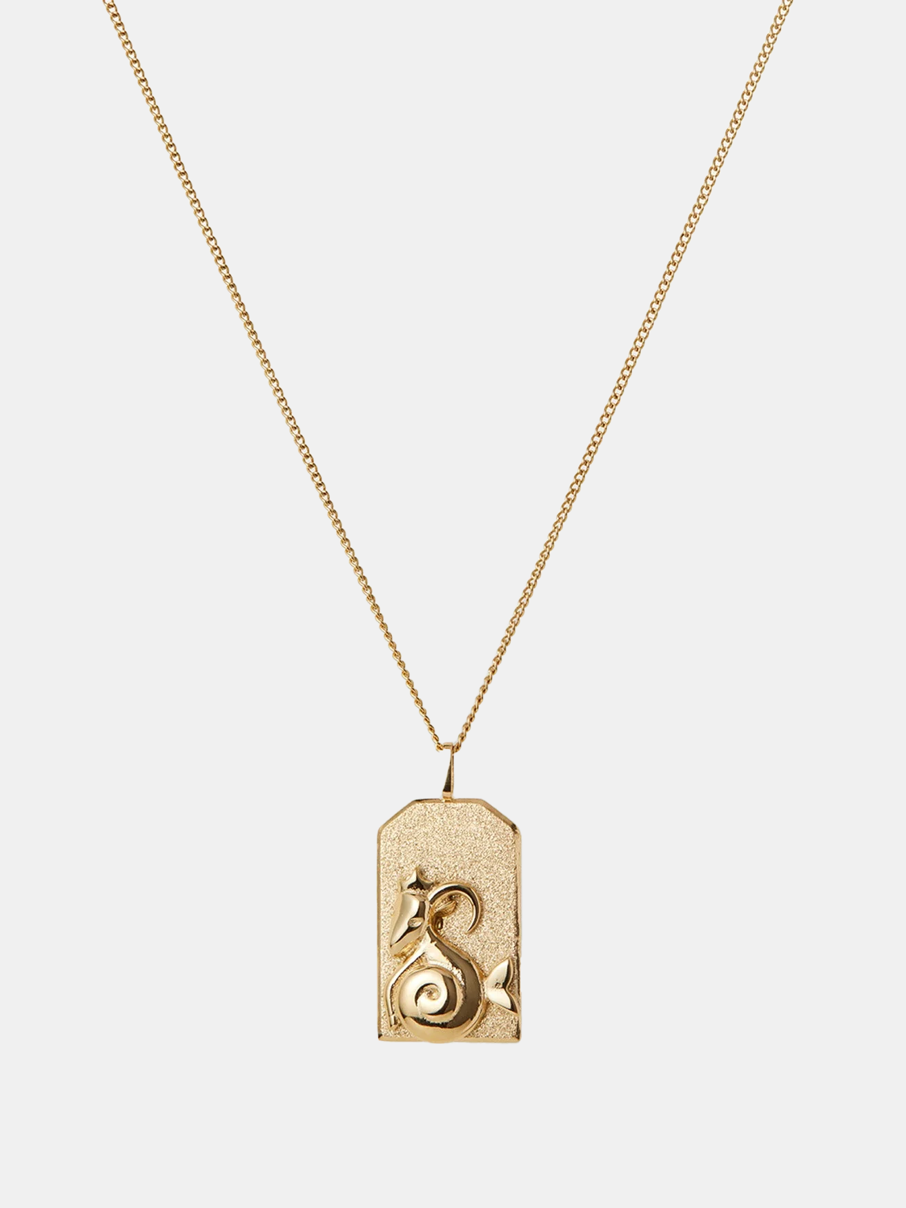 Zodiac Pendant Necklace