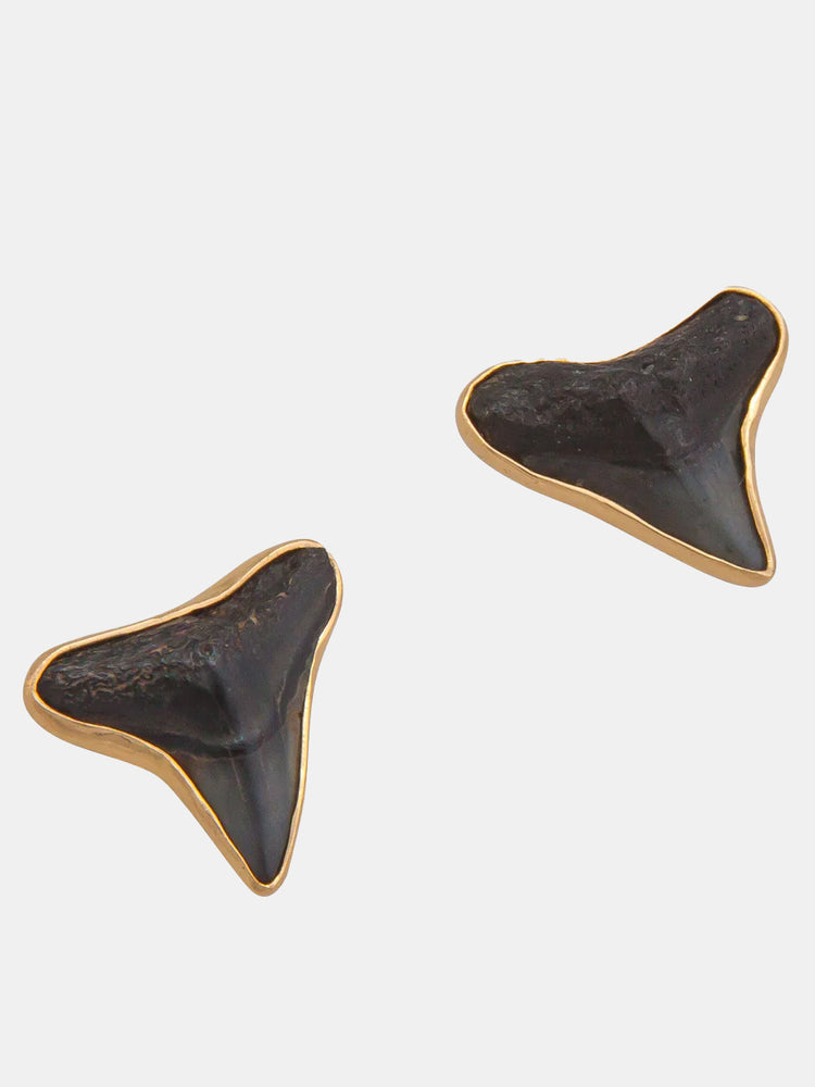 Alchemia Fossil Shark Teeth Earrings