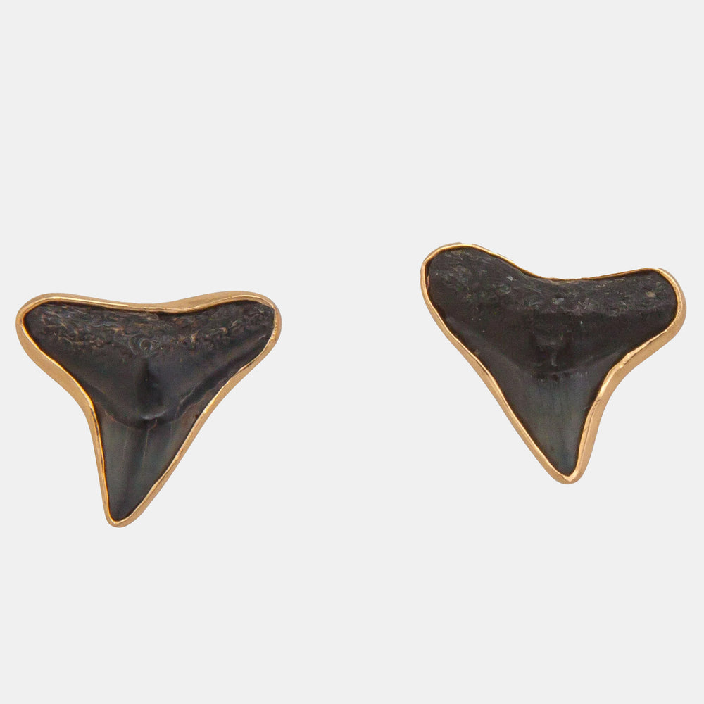 Alchemia Fossil Shark Teeth Earrings