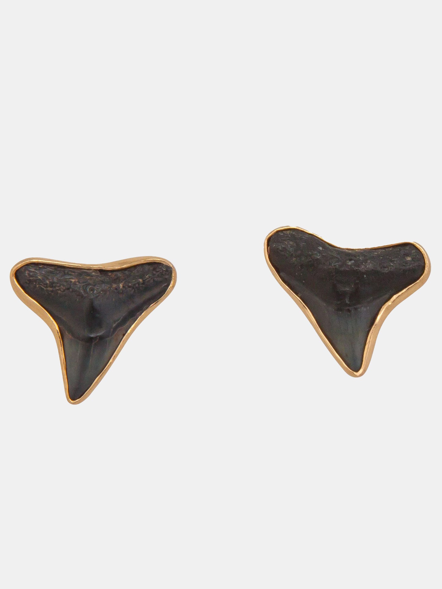 Alchemia Fossil Shark Teeth Earrings