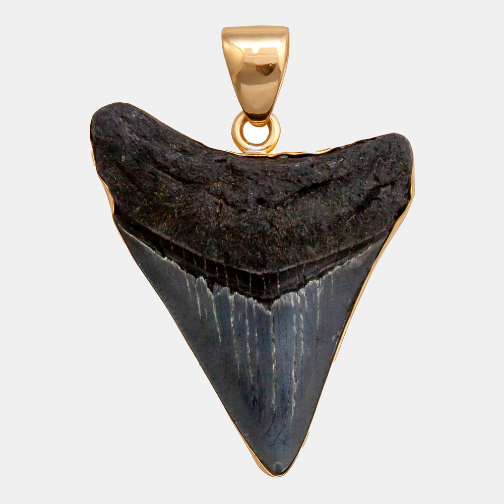 Alchemia Fossil Shark Tooth Pendant