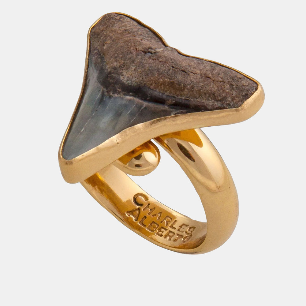 Alchemia Mini Shark Tooth Ring