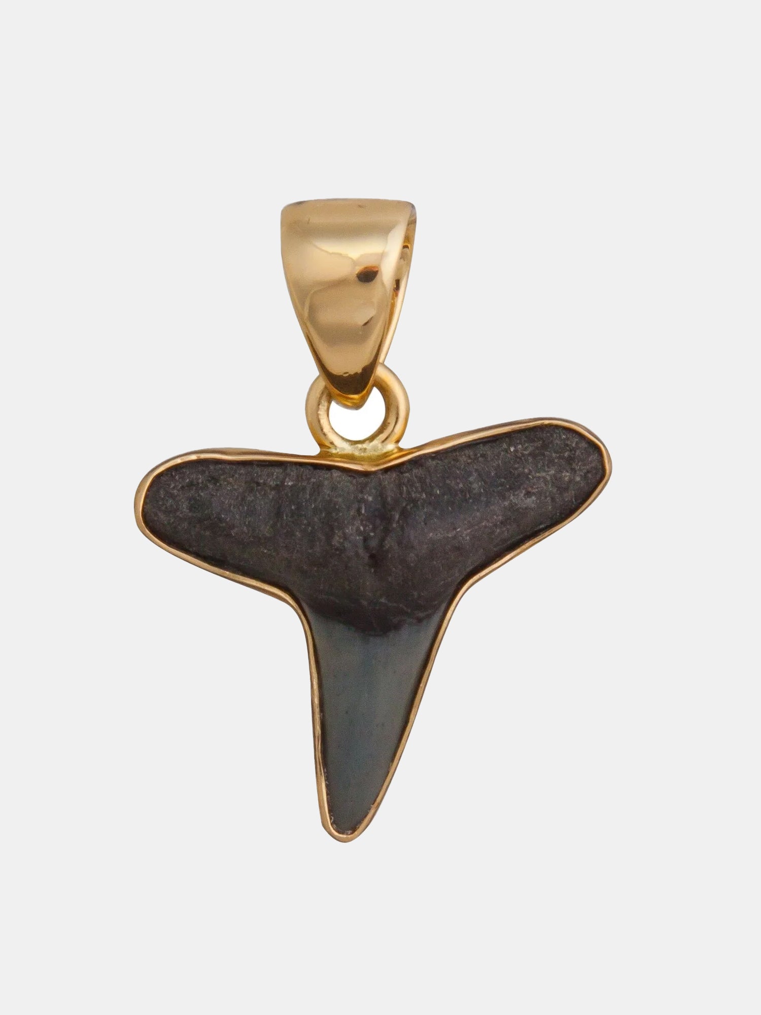 Alchemia Mini Shark Tooth Pendant