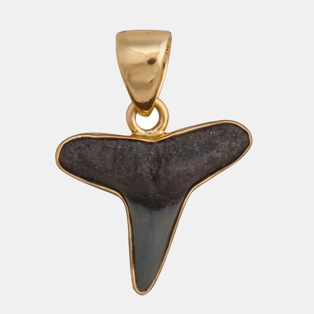 Alchemia Mini Shark Tooth Pendant