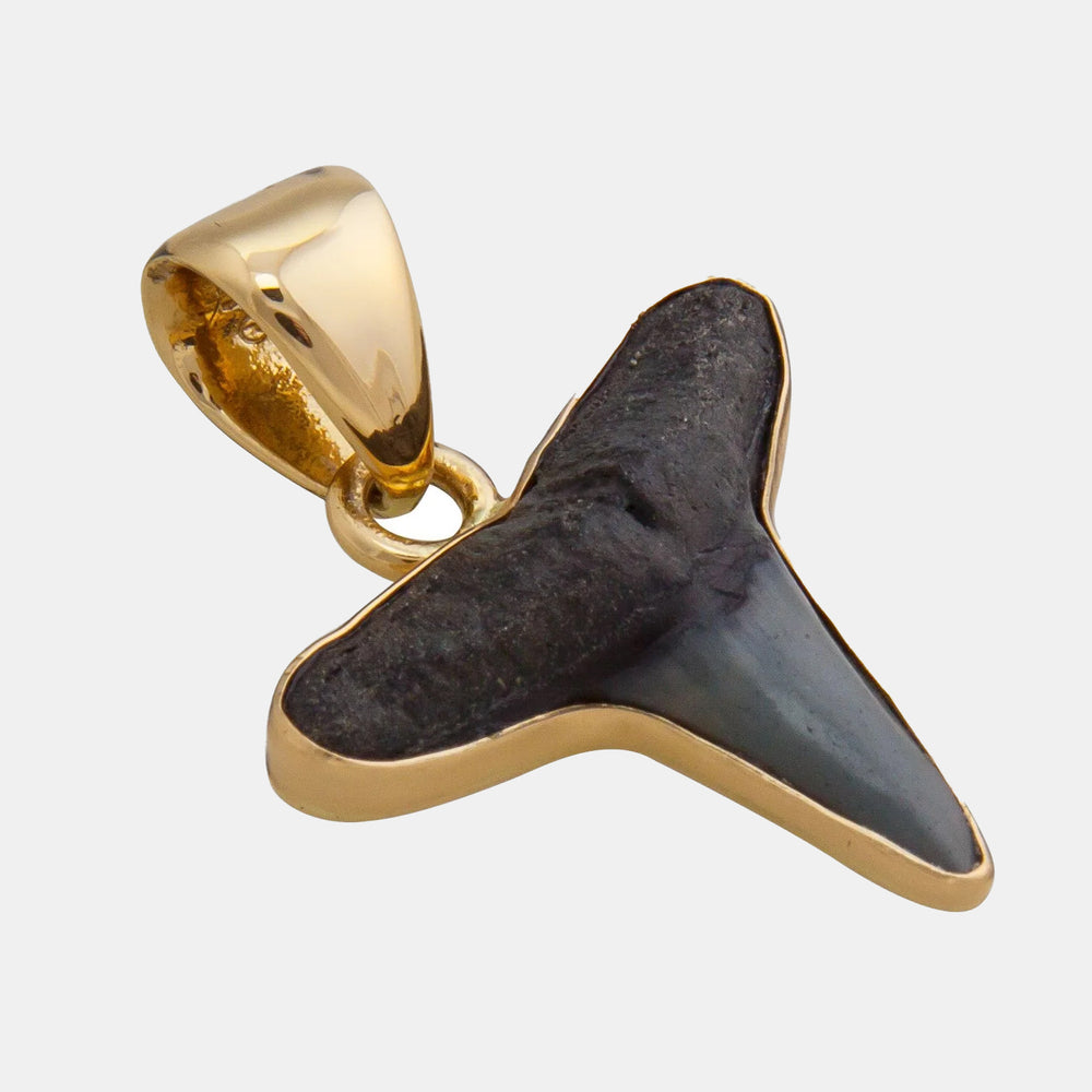 Alchemia Mini Shark Tooth Pendant