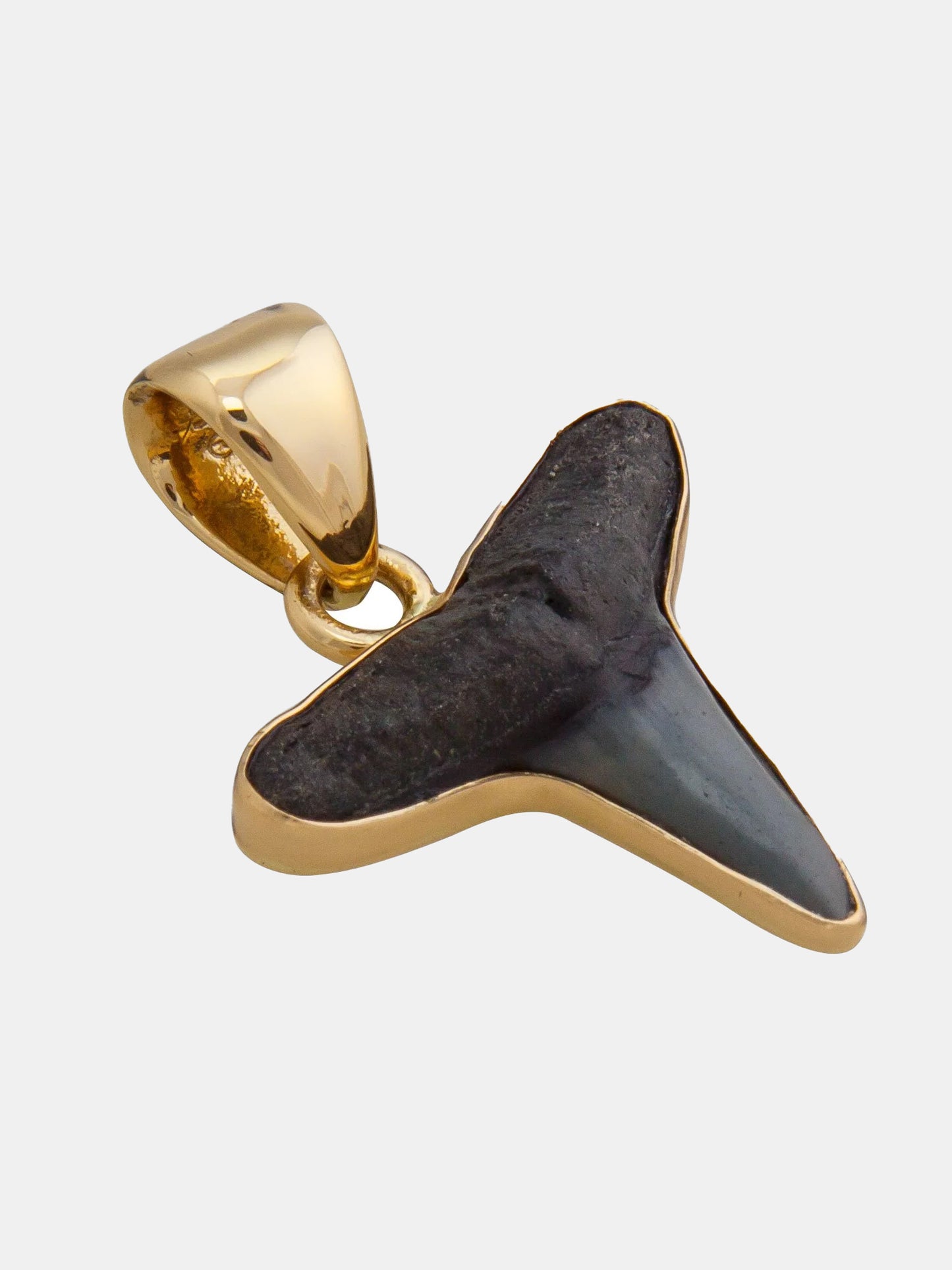 Alchemia Mini Shark Tooth Pendant