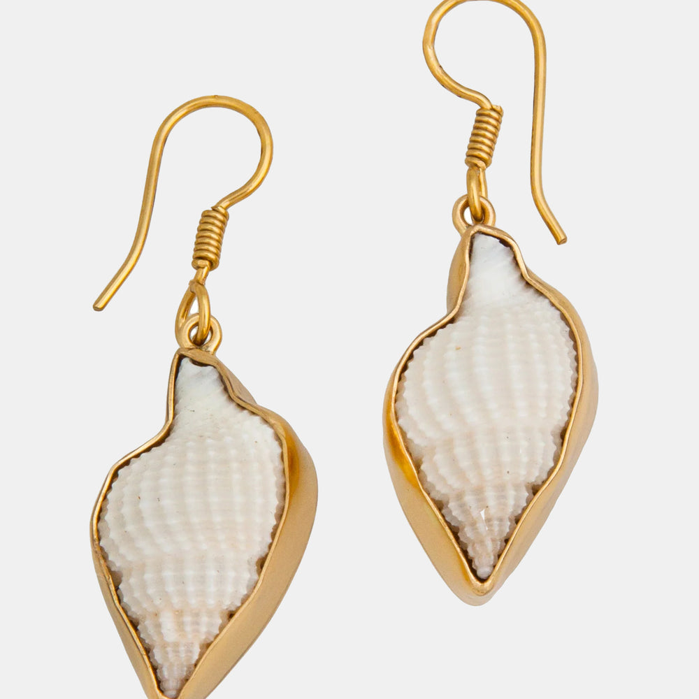 Alchemia Nassa Clothrata Shell Earrings