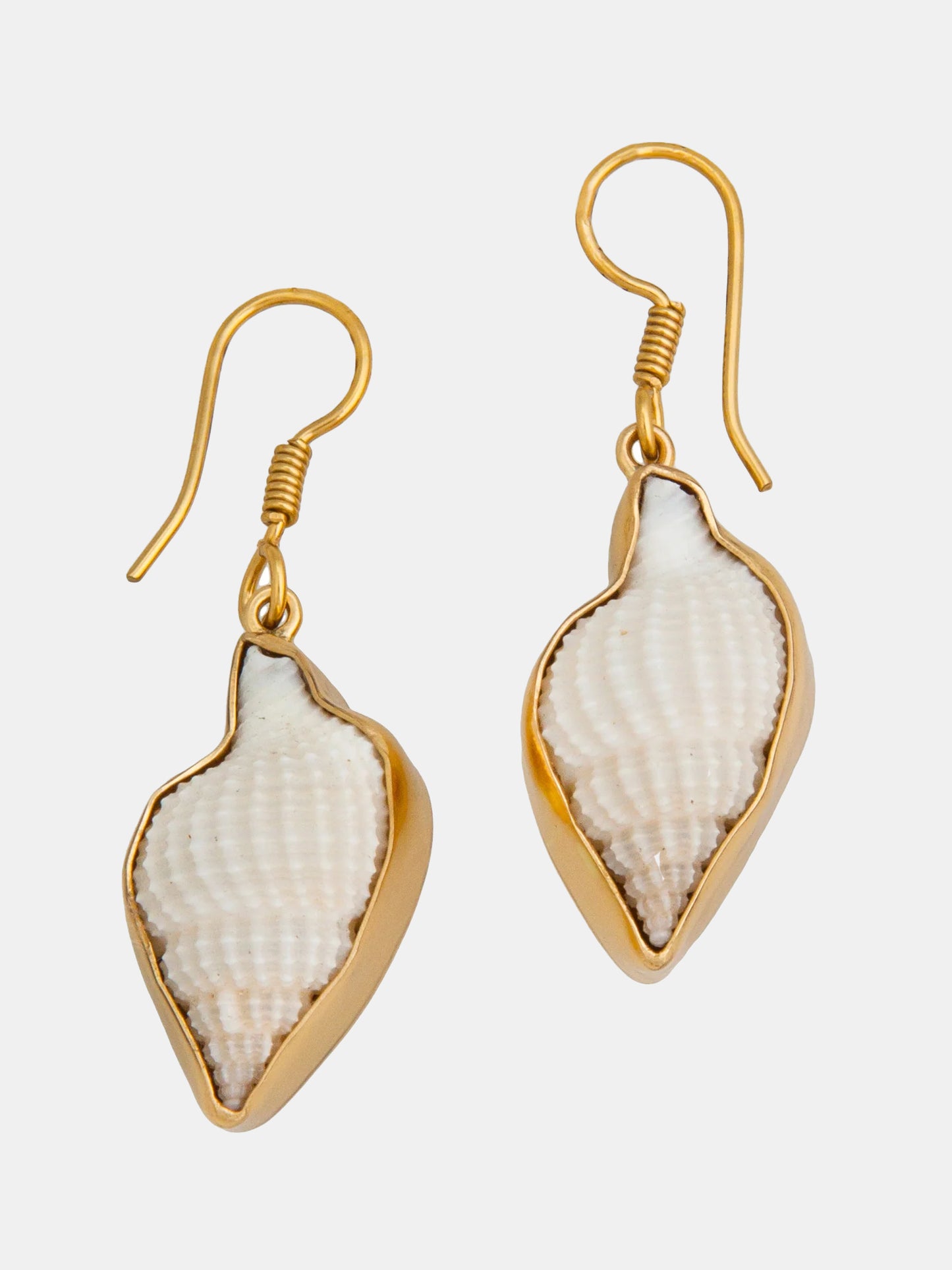 Alchemia Nassa Clothrata Shell Earrings