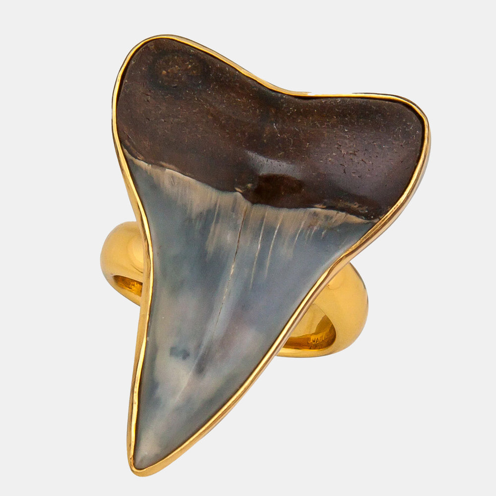 Alchemia Fossil Shark Tooth Ring