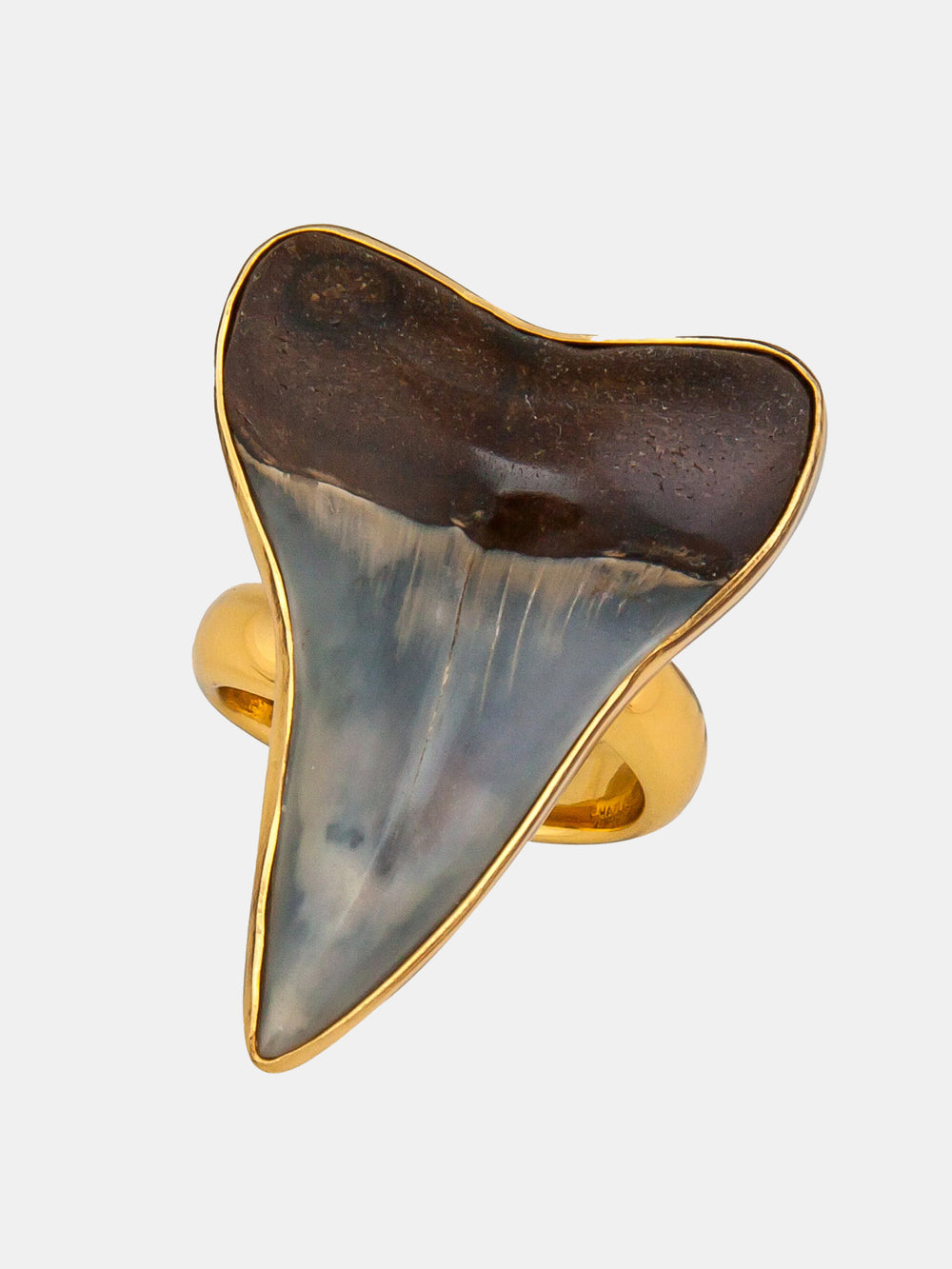 Alchemia Fossil Shark Tooth Ring