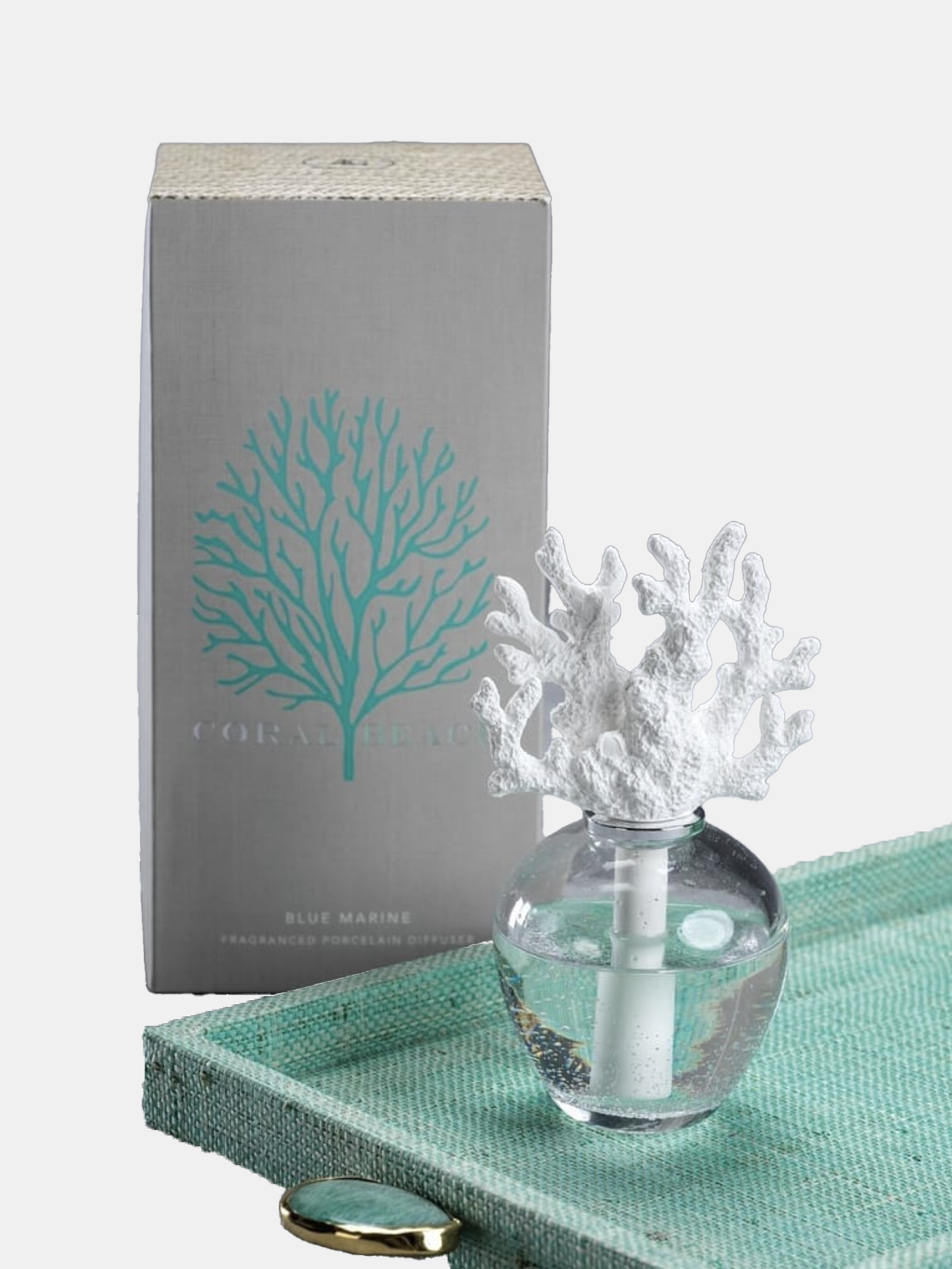 Coral Beach Porcelain Diffuser