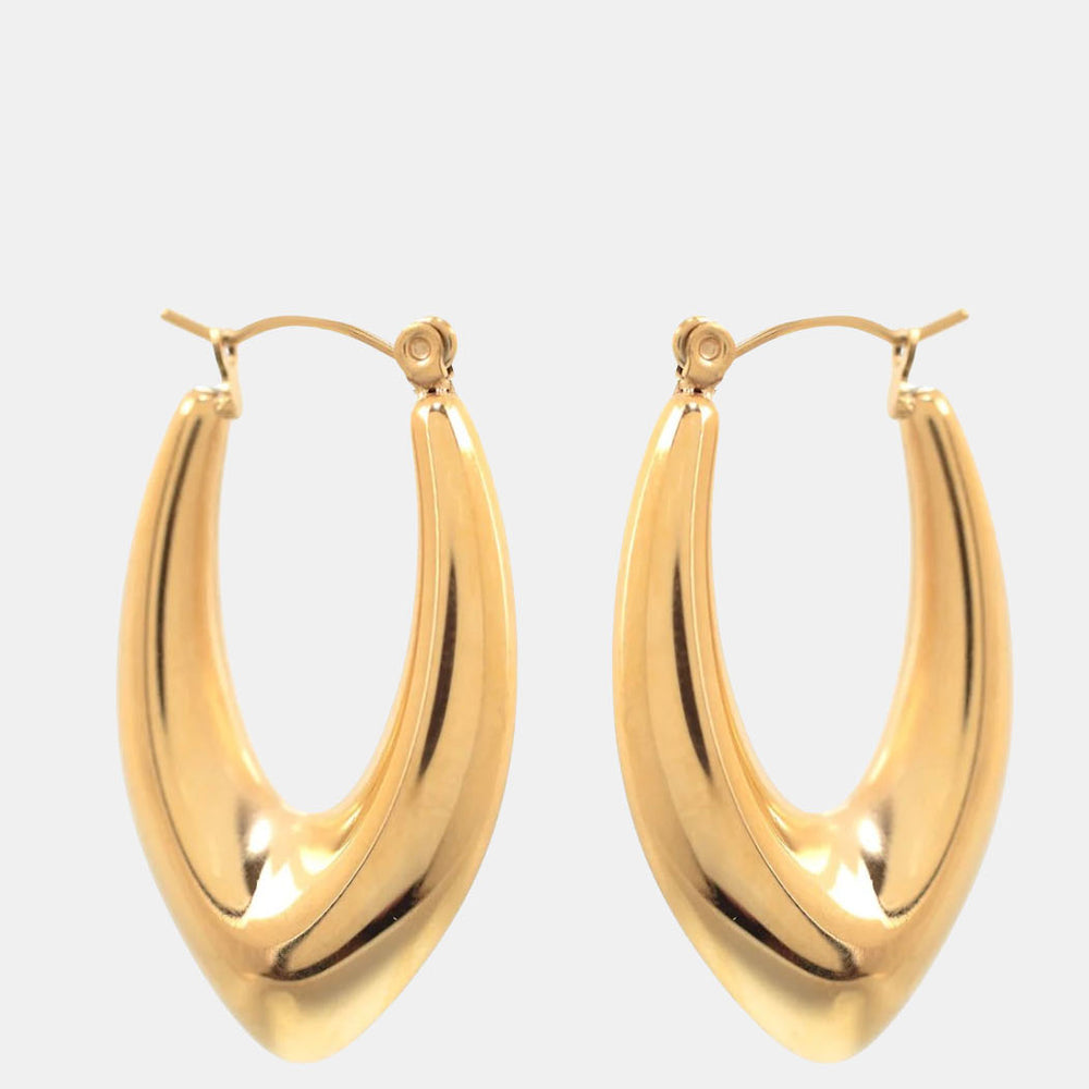 Not Your Average Hoop Earrings