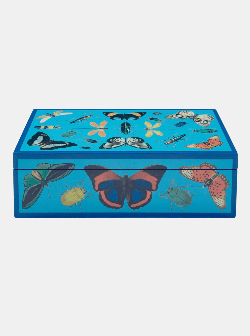 Lacquer Botanist Box - Medium - Morley 